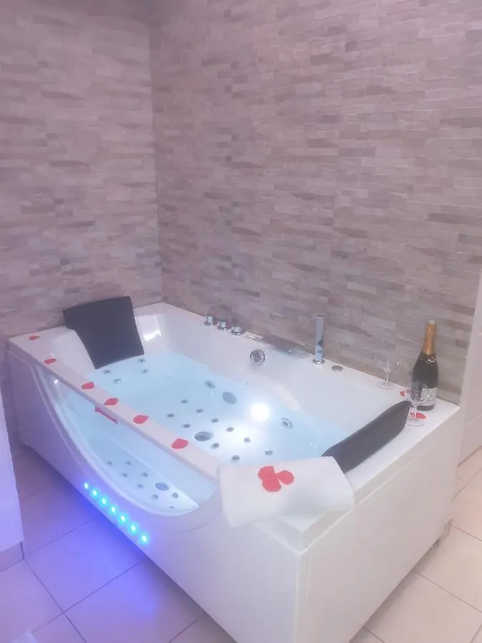 Spa Enzo Appartement Avec Jacuzzi Privatif Lyon 0*,